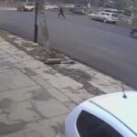 pi1742418244